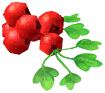 Currant