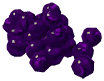 Elderberry