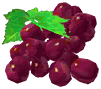 Grape