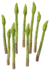 Sperage