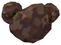 Truffle