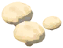 White Button