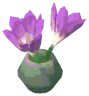 Crocus Vase