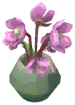 Hellebores Vase