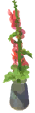 Hollyhock Vase