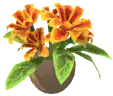 Marigold Vase