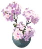 Phlox Vase