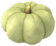 Harvest Crown Pumpkin