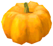 Orange Pumpkin